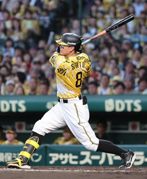 阪神佐藤輝明(2025年7月12日撮影)