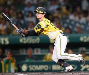 阪神中野拓夢(2025年7月11日撮影)