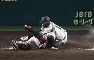 阪神対巨人　8回裏阪神2死一、二塁、大山の適時打で生還する森下。アウトの判定もリクエストで生還となる(2025年7月2日撮影)