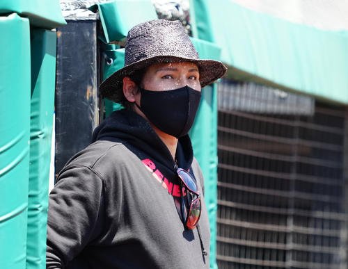 楽天対日本ハム　試合前練習を見る日本ハム新庄監督(撮影･鈴木みどり)