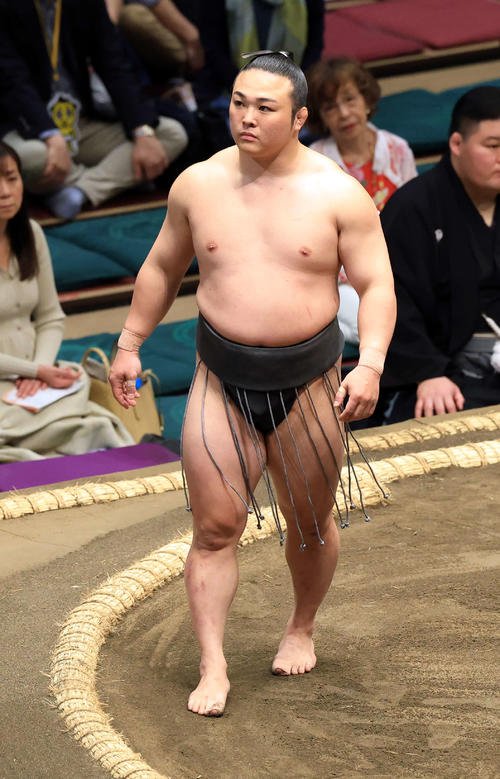 炎鵬(2025年5月撮影)
