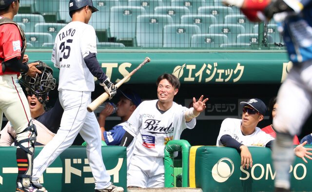 阪神2軍との交流試合。得点して喜ぶ独立リーグ連合のベンチ＝小林一茂撮影