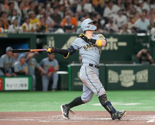 阪神佐藤輝明(2025年7月19日撮影)