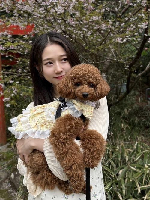 谷本安美