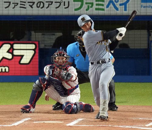 阪神坂本誠志郎(2025年8月1日撮影)