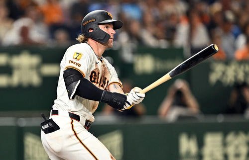 巨人キャベッジ(2025年8月3日撮影)