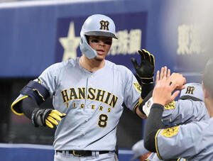 中日対阪神　4回表阪神無死、佐藤輝は中越えに本塁打を放ち、ベンチ前で祝福を受ける(撮影･西尾就之)