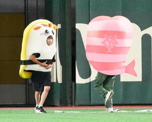 巨人対中日　3回裏終了後の｢すしレース｣はタマゴ(左)が制する(撮影･江口和貴)