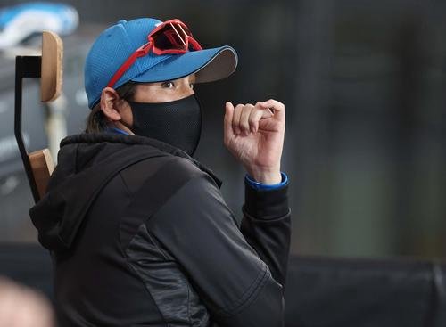 日本ハム対ロッテ　試合を見つめる新庄監督(撮影･黒川智章)