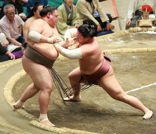 荒篤山(左)を押し出しで破る錦富士(撮影･中島郁夫)