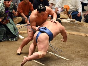 豊昇龍(奥)ははたき込みで若隆景を下す=浅野哲司撮影