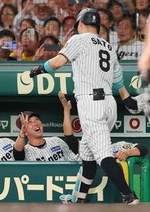 阪神対ヤクルト　5回裏阪神1死二塁、右越え2点本塁打を放った佐藤輝(手前)を出迎える藤川監督(撮影･上山淳一)