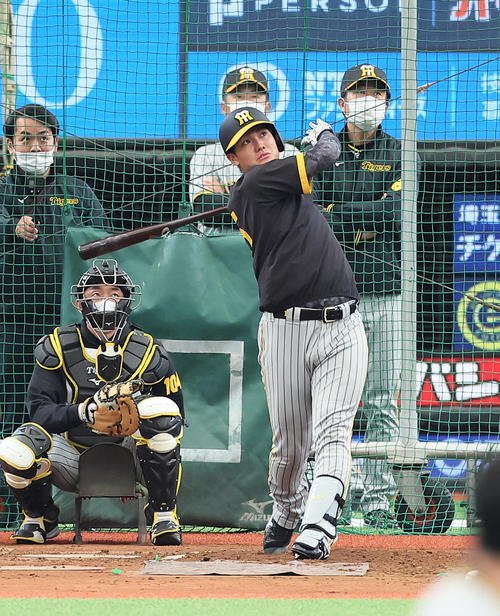 フリー打撃を行う阪神西純矢(23年3月撮影)