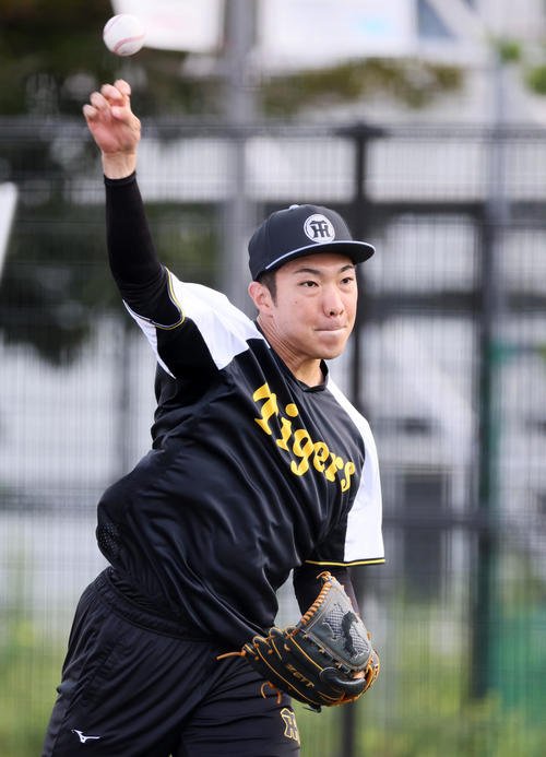 練習でキャッチボールする阪神石井(撮影･加藤哉)