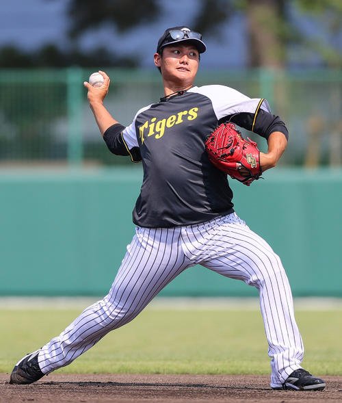 阪神西純矢(2025年6月27日撮影)