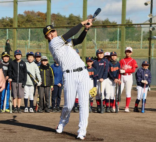 阪神西純矢(2024年12月16日撮影)