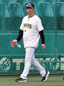 グラウンドでの練習を終えた藤川監督はベンチを出て引き揚げる(撮影･上田博志)