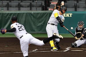 シート打撃でデュプランティエから本塁打を放つ佐藤輝(撮影･上田博志)