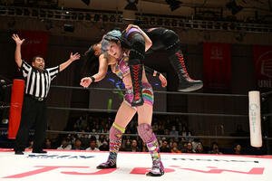 什の掟を決める遠藤有栖