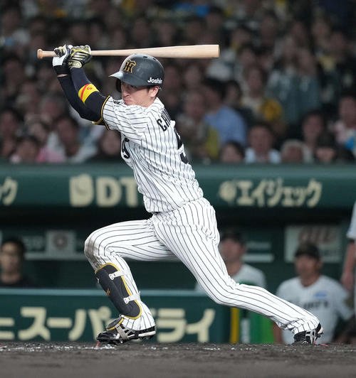 阪神近本光司(2025年10月16日撮影)