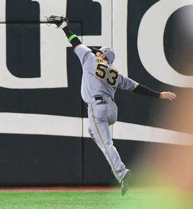 ソフトバンク対阪神　8回裏ソフトバンク無死、柳町の左飛を好捕する島田(撮影･岩下翔太)