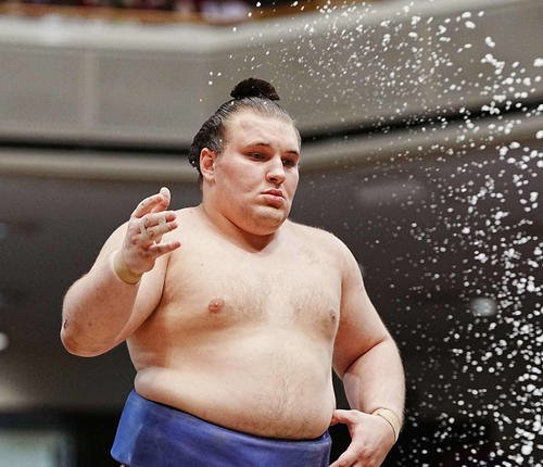 安青錦(2025年撮影)