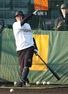 打撃練習する阪神大山(撮影･足立雅史)