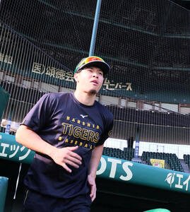甲子園球場に戻って練習のためグラウンドに出る阪神佐藤輝(撮影･加藤哉)