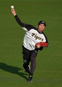 キャッチボールで調整する阪神才木(撮影･足立雅史)