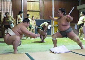 朝稽古で若い衆に胸を借り、立ち合いの確認を繰り返した翔猿(手前左)