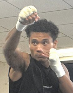 公開練習で好調ぶりを披露した平岡アンディ