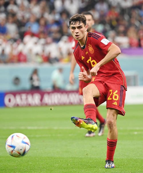 ペドリ(2022年11月27日撮影)