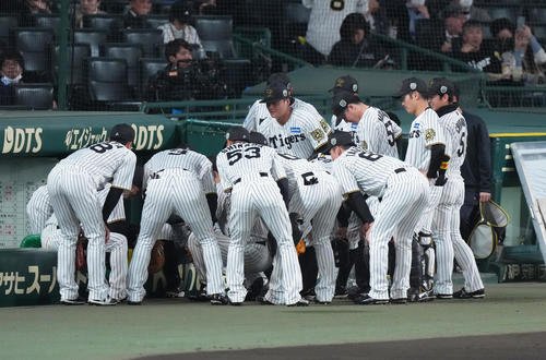 阪神対ソフトバンク　試合前、円陣を組む阪神の選手ら(撮影･足立雅史)