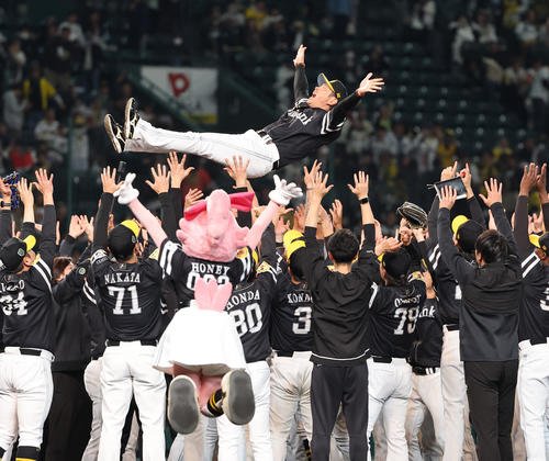 阪神対ソフトバンク　日本シリーズを制した小久保監督はナインから胴上げされる(撮影･上田博志)