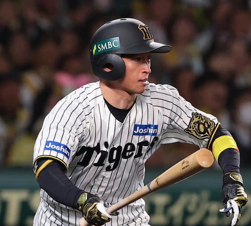 FA権を獲得した近本光司(2025年撮影)