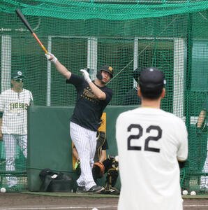 阪神佐藤輝明は快音を響かせる。右は藤川監督(撮影･加藤哉)