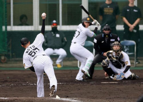 シート打撃練習で高寺に投球する阪神能登(撮影･加藤哉)