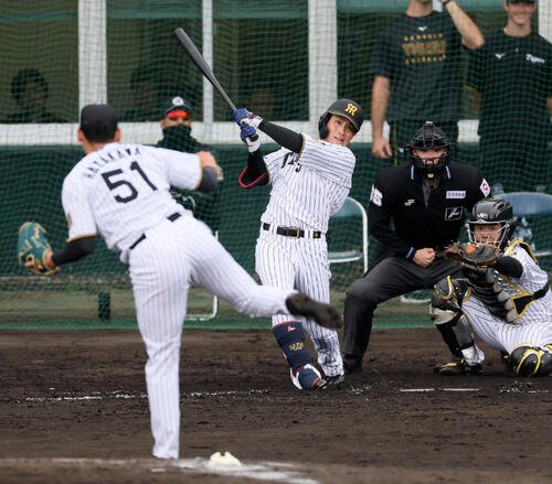 シート打撃練習で左中間越え二塁打を放つ木浪。投手早川(撮影･加藤哉)