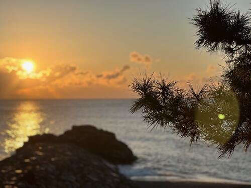 西武2軍キャンプ地、高知･桂浜の朝日(撮影･金子真仁)