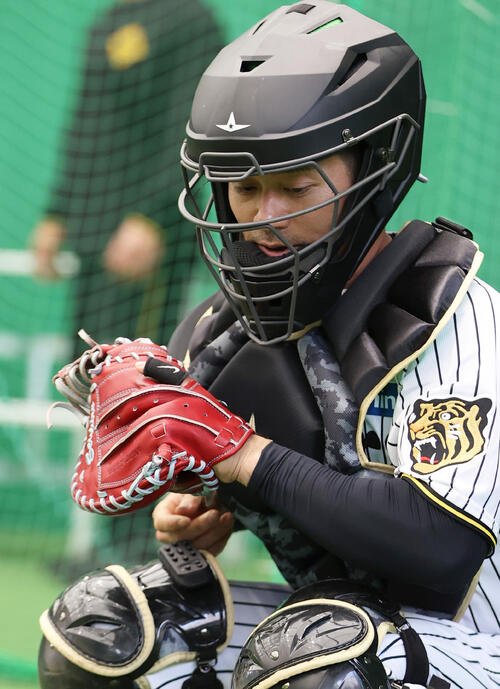 阪神石井にピッチコムでサインを出す坂本(2026年2月撮影)