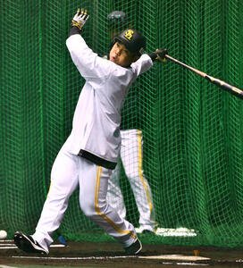 フリー打撃を行うソフトバンク近藤(撮影･岩下翔太)