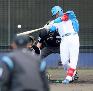 日本ハム対阪神　4回裏日本ハム無死、エドポロは二塁打を放つ(撮影･加藤哉)