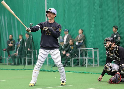 ブルペンの打席に入り球筋を見極める阪神近本は笑顔(撮影･西尾就之)