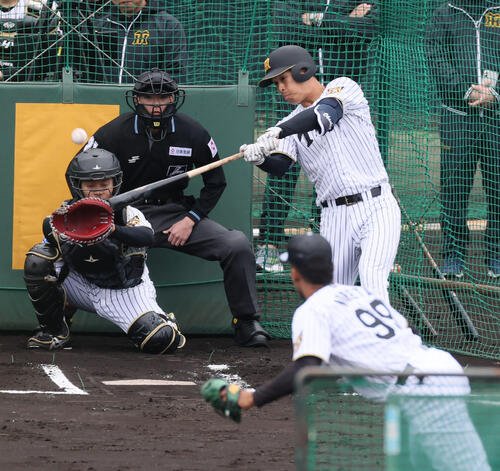 阪神岡城はライブBPでモレッタから右方向へ安打性の打球を放つ(撮影･加藤哉)