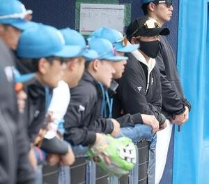 日本ハム対楽天　試合を見つめる新庄監督(撮影･黒川智章)