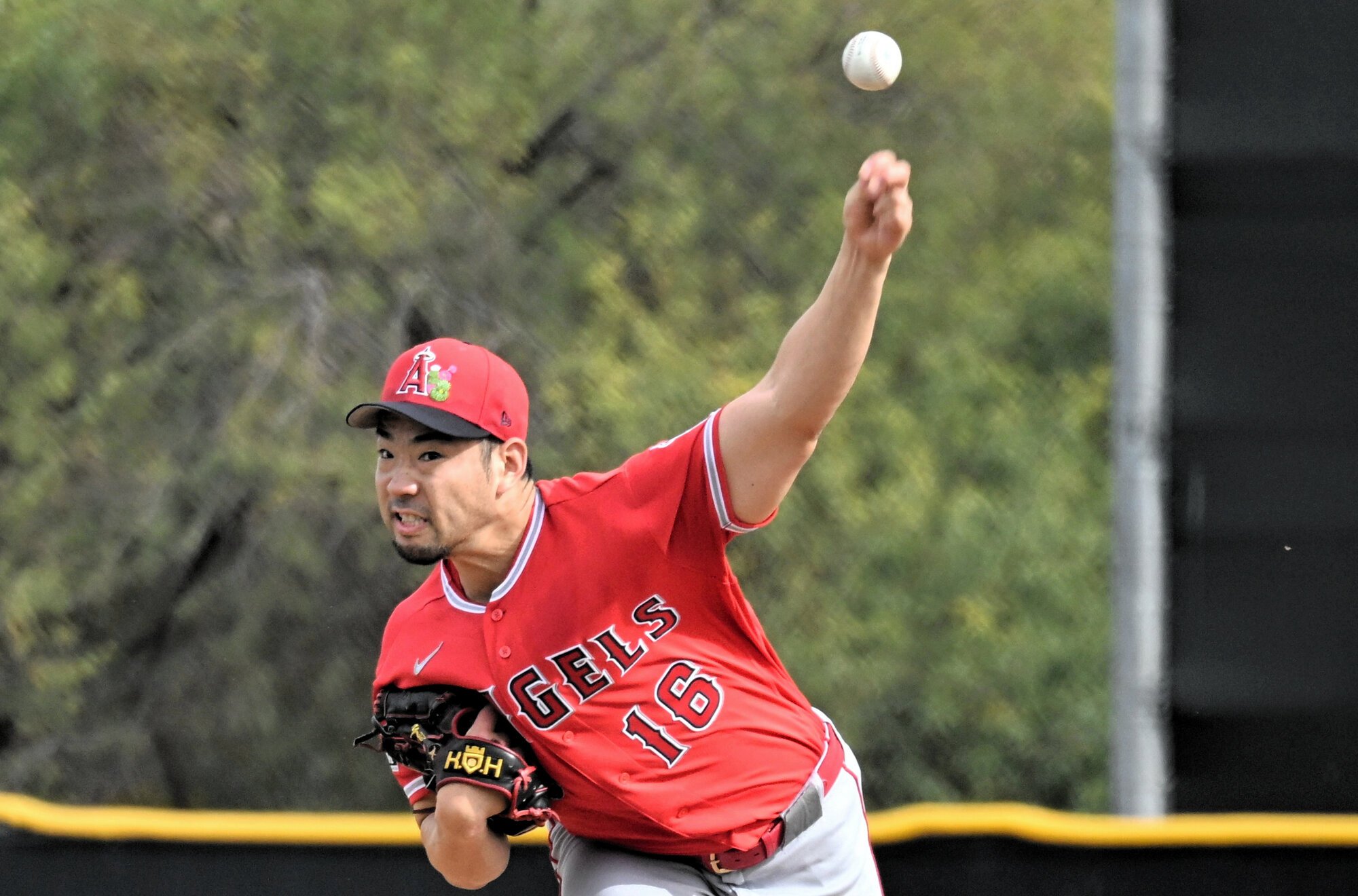 実戦形式の｢ライブBP｣で投球するエンゼルスの菊池雄星=米アリゾナ州テンピ、大宮慎次朗撮影