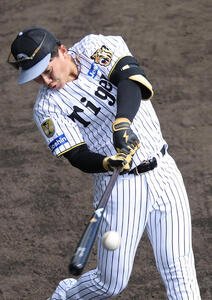 ロング打撃を行う阪神立石(撮影･上山淳一)