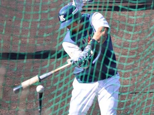 ティー打撃を行うヤクルトのサンタナ(撮影･塚本光)