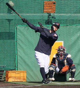 打撃練習する侍ジャパン佐藤(撮影･加藤哉)