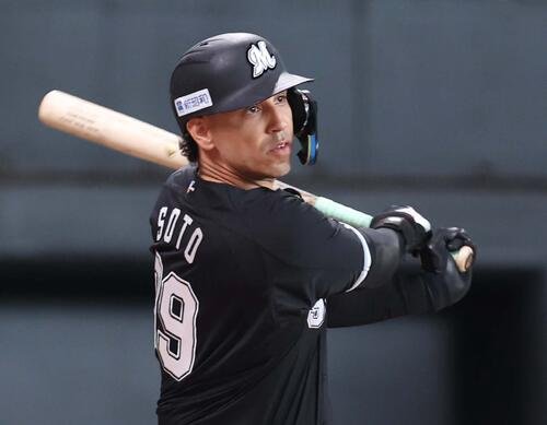 ロッテのソト＝25年7月